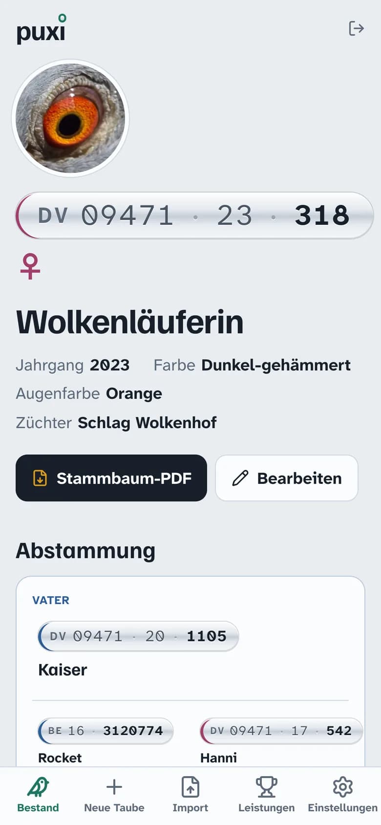 Auch auf dem Handy