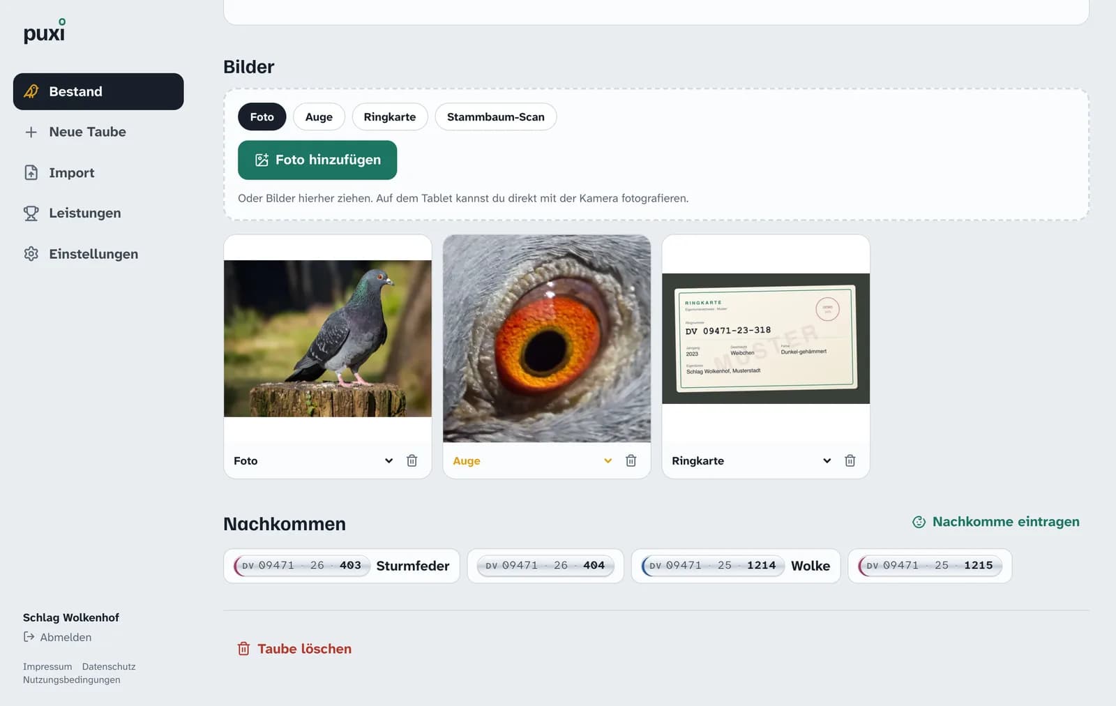 Foto, Auge und Ringkarte
